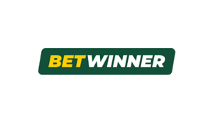 Understanding the Terms & Conditions Betwinner 1