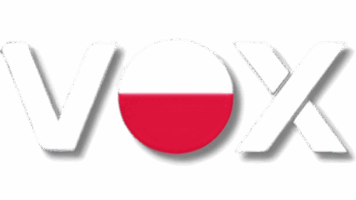 Recenzja VOX Casino — nowoczesne gry, bonusy i bezpieczeństwo