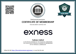 Comprehensive Exness Withdrawal Review Everything You Need to Know
