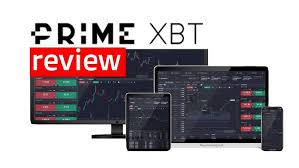 Comprehensive Information About PrimeXBT