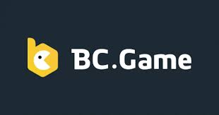 In-Depth Review of BC App User Experiences and Insights